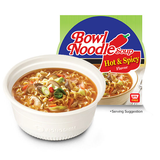 Bowl noodle soup